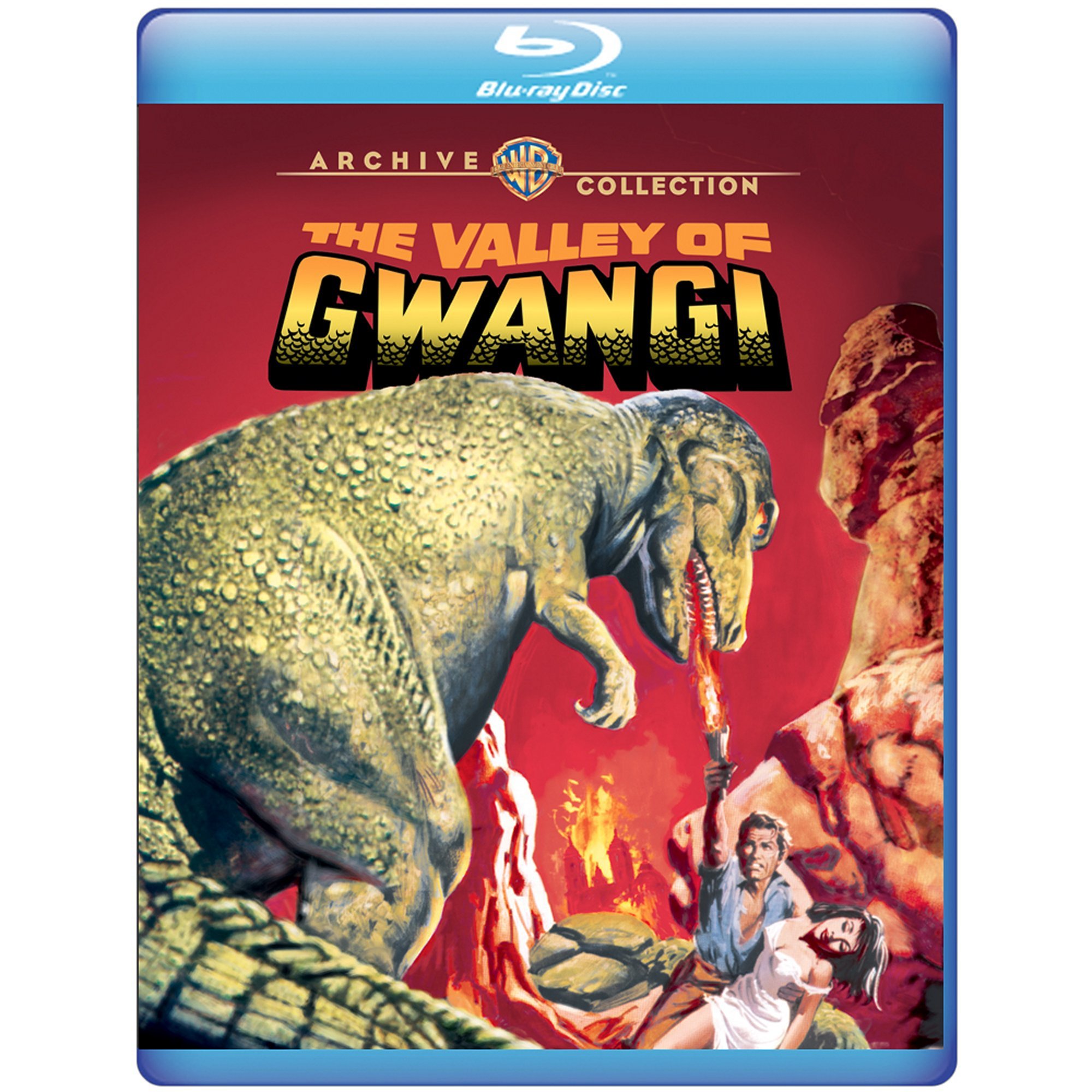 フルトヴェングラー その生涯の秘密 [DVD] Amazon.co.jp: フルトヴェングラー その生涯の秘密 [DVD